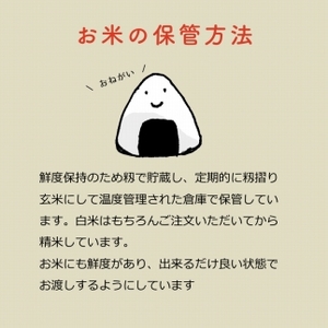 【特別栽培米】石川県産 こしひかり 棚田米【白米】 5kg 令和7年度産