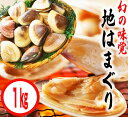 【ふるさと納税】鹿島灘特産★ブランド地はまぐり（お手軽 1kg ） BBQ 貝類 海鮮 海産物 はまぐり 蛤 ハマグリ 人気 ブランド 特産 鹿島灘 鹿嶋市 茨城県 送料無料 産地直送 10000 一万円（KBL-3）