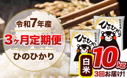 【3ヶ月定期便】 令和7年産  定期便 ひのひかり 10kg 《お申込み翌月から出荷》令和7年産 熊本県産 ふるさと納税 白米 精米 ひの 米 こめ ふるさとのうぜい ヒノヒカリ コメ 熊本米 ひのもり