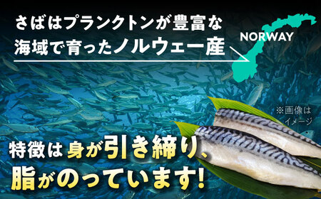 【12回定期便】炭火焼 トロさば 鯖 塩焼き（手焼き） 10枚入 /すみまる[UDH050]