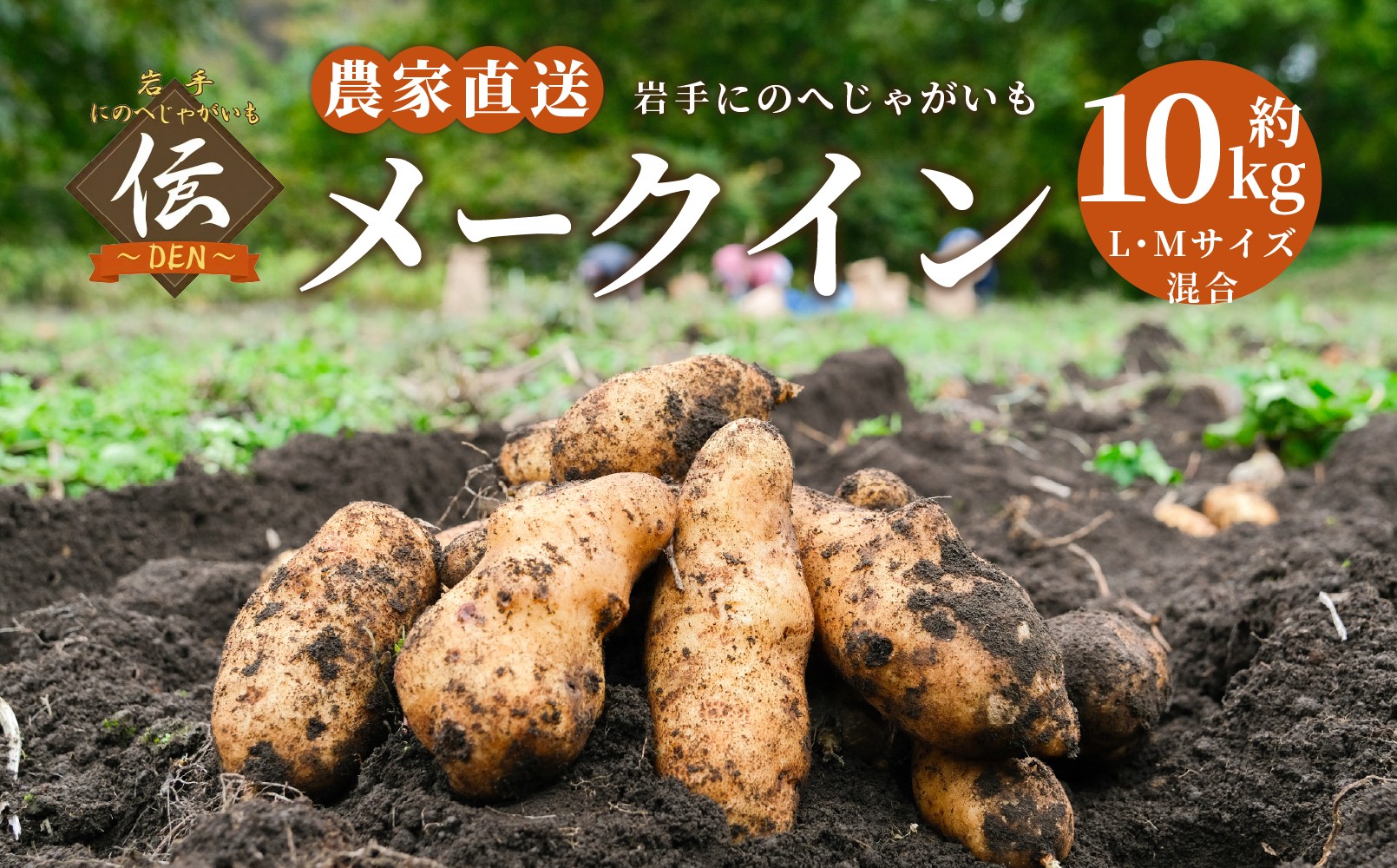
                  【厳選品】岩手にのへじゃがいも「伝」メークイン （L・Mサイズ）10kg 【2026年9月中旬から2027年2月下旬発送予定】／ジャガイモ じゃがいも 芋 イモ ポテト 野菜 お取り寄せ 農家 産地直送
                
