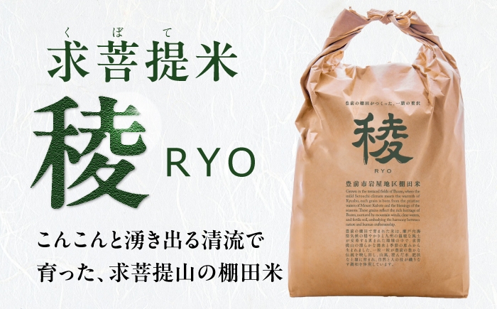 新米 産地直送 精米 国産 おすすめ 人気 10kg