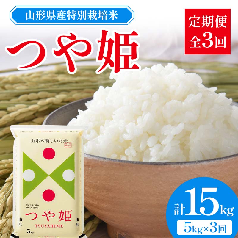 【ふるさと納税】 山形県産 特別栽培米 つや姫 5kg 全3回定期便 F2Y-3914
