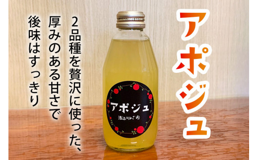 【定期便6回】矢板市産 完熟りんごジュース「アポジュ」小瓶 6本セット｜林檎 リンゴ はるか ふじ 果汁100% ギフト 国産 産地直送 (毎月お届け）