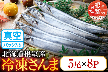 [12月21日決済分まで年内配送]【北海道根室産】冷凍さんま40尾 C-36002