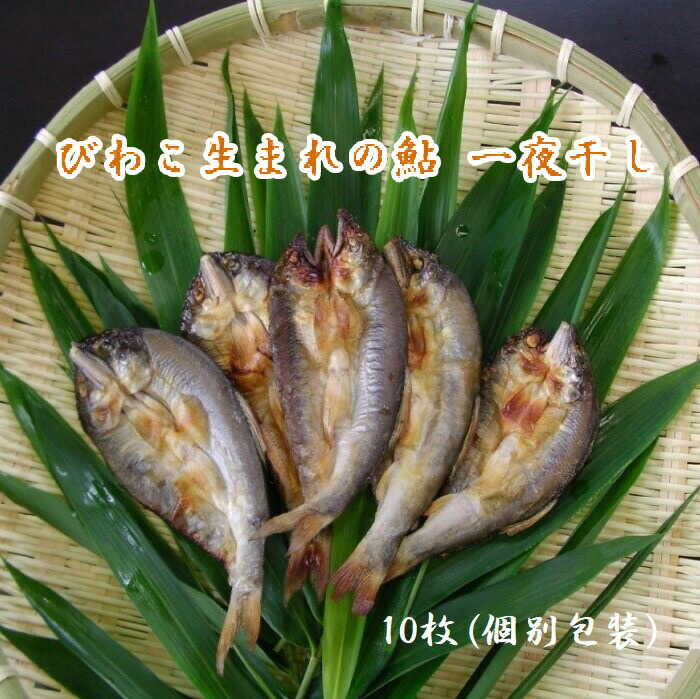 【ふるさと納税】特選 びわこ生まれの鮎 一夜干し 10枚(個別真空パック）背骨なし　滋賀県長浜市/株式会社松屋 [AQCC001]※離島への配送不可 鮎 あゆ アユ 一夜干し 干物 魚介 びわ湖 琵琶湖 滋賀県産 お取り寄せ グルメ 和食人気 おすすめ