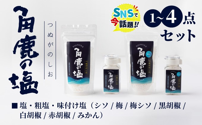 
                  SNSで話題沸騰！ 呪われていない特別な塩 「角鹿の塩」 単品〜4点セット（塩・粗塩）【選べる種類・内容】【敦賀 塩 しお 粗塩 天然塩 天日塩 釜炊き 調味料 天皇の御食 日本書紀 人気 話題 急上昇 大バズり バズる お中元 お歳暮 ギフト 贈り物】[080-a003/080-b402]
                
