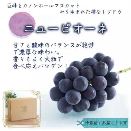 岡山　花笑み農園の『ニューピオーネ』優品　約2kg(3～5房)　P-2優【配送不可地域：離島・北海道・沖縄県】【1593495】