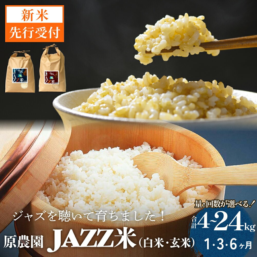 【ふるさと納税】【令和8年産米先行受付】原農園 JAZZ米 白米 玄米 4kg -10kg 1回 3回 6回 選べる 定期便 ひのひかり 米 お米 こめ コメ ご飯 ヒノヒカリ 常温 大分県 大分 玖珠町 玖珠