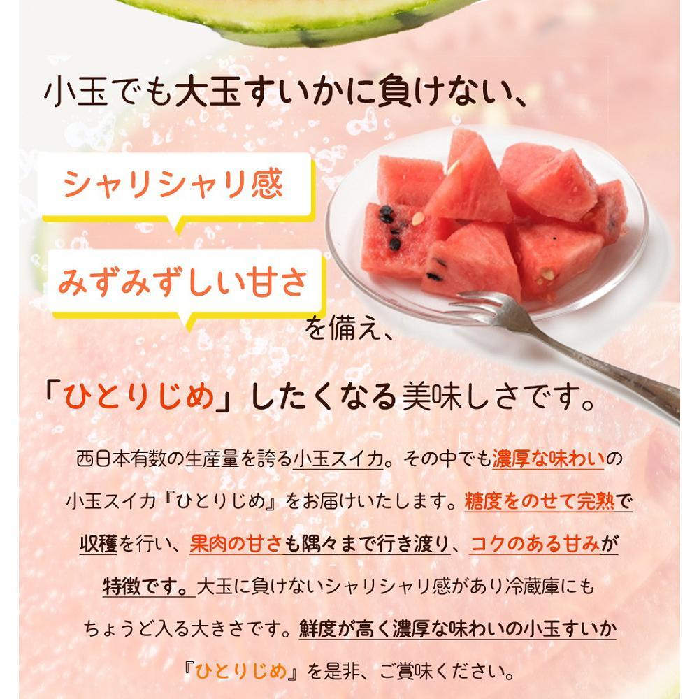 紀州和歌山産 小玉スイカ「ひとりじめ」 １玉	【2024年6月上旬以降発送】