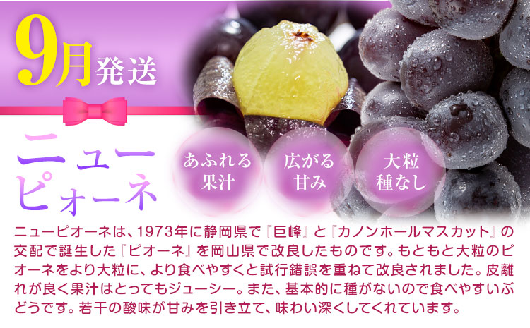 【先行予約】岡山県産 厳選 フルーツ 定期便 2回 白桃 ニューピオーネ 計1.7kg前後 株式会社藍《2026年7月上旬-9月末頃出荷》 岡山県 浅口市 岡山県産 白桃 桃 ニューピオーネ 種無し 