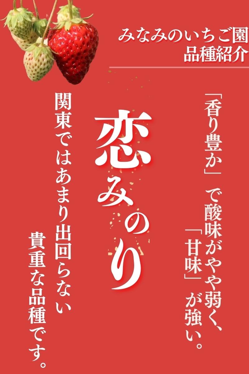 【2025年3月以降配送】完熟いちご280g 恋みのり 4パック（DXパック）【 恋みのり いちご 苺 イチゴ 果物 フルーツ くだもの 旬 伊豆 静岡県 期間限定】　<AA-11>