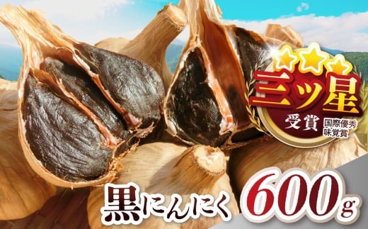 S-04 青森県産 黒にんにく 100g × 6袋 | にんにく ニンニク ガーリック 黒にんにく 黒ニンニク 詰め合わせ 小分け 無添加 安心 安全 健康 プレゼント 福地ホワイト六片 熟成 清水物産十和田FP（株） 青森県 六戸町