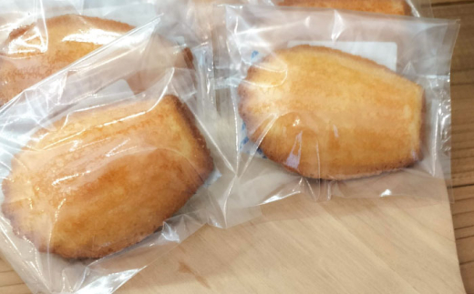 焼き菓子詰め合わせ 10個入り / クッキー ビスケット おこし 焼菓子 洋菓子 詰め合わせ 菓子折り お菓子 ギフト スイーツ セット / 御嵩町 / パティスリーランド [AVAX006]
