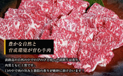 淡路牛 ロース（すき焼き用） ８００ｇ　　 [牛肉すき焼き すき焼き 牛肉すき焼き 国産牛肉すき焼き 牛肉すき焼き]