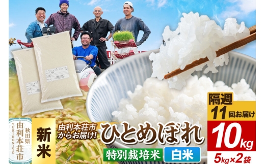 ＜令和8年産 新米＞《2週間毎お届け》【定期便11回】【白米】ひとめぼれ 10kg（5kg×2袋）特別栽培米   秋田県産 [ひとめぼれ 新米 米 お米 白米 精米 特別栽培米 ブランド米 食卓 おにぎり 秋田県産 秋田]