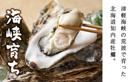 【2025年3月中旬以降発送】海峡育ち 殻付き牡蠣 10個入り カキナイフ付＜上磯郡漁業協同組合＞ 生牡蠣 かき カキ 貝 海鮮 北海道産牡蠣 カキ 北海道 牡蠣 ふるさと納税牡蠣 牡蠣 産地直送
