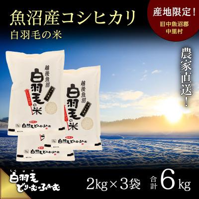 ふるさと納税 十日町市 令和7年産　農家直送!魚沼産コシヒカリ「白羽毛の米」精米(2kg×3袋)6kg