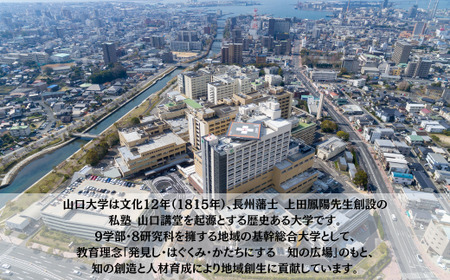 山口大学医学部附属病院への人材育成支援補助金 寄附額 500,000円 | 山口県 宇部市 山口大学 大学附属病院 病院 人材育成 支援 EK10-FN
