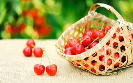 《2026年先行予約》さくらんぼ 佐藤錦 秀品 180g×8パック Lサイズ以上 FSY-0563