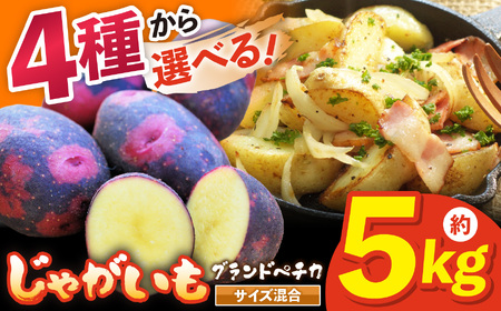 兵庫安心ブランド・グランドペチカS～L混合サイズ約5kg 栽培期間中農薬・化成肥料不使用 | じゃがいも 野菜 国産 こだわり栽培 兵庫県 上郡町
