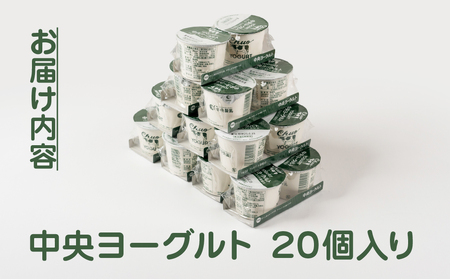 ヨーグルト 2p 20個セットヨーグルト 中央製乳