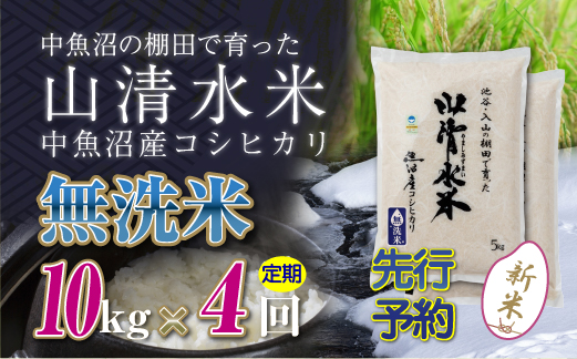 【定期便／全4回】無洗米10kg　新潟県魚沼産コシヒカリ「山清水米」