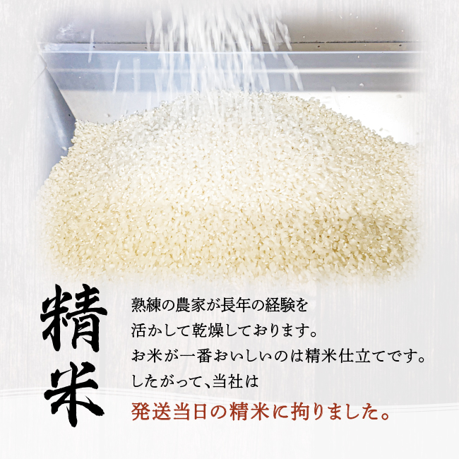 會津特選米 松平 3kg (会津若松市産コシヒカリ)｜令和7年 会津産 米 白飯 お米 2025年 こしひかり コシヒカリ コメ 新米 [1064-1066]