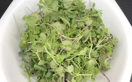 薬菜 ミックス 約280g (70g×4個) 大分県産 野菜