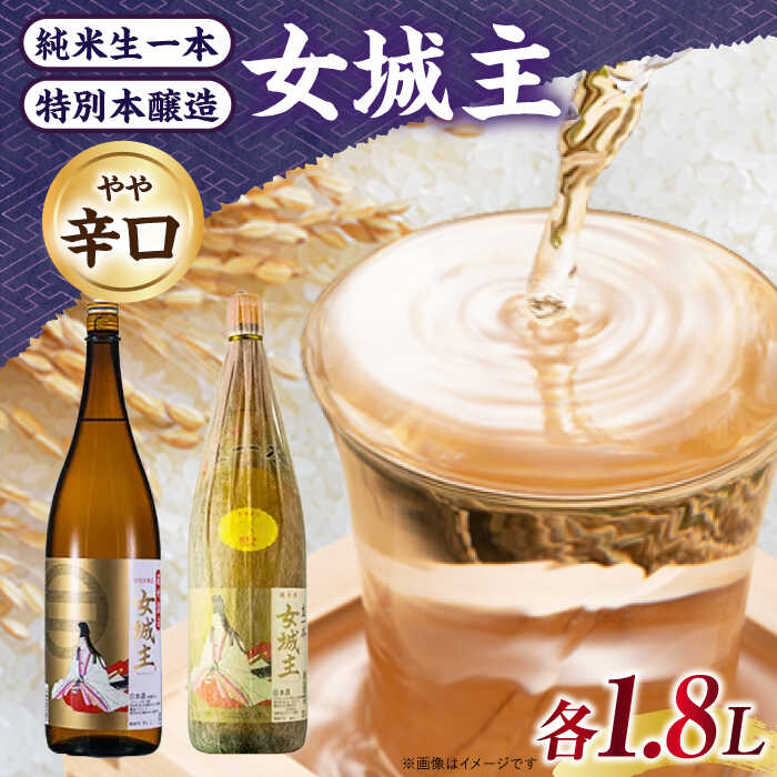 【ふるさと納税】晩酌セット（特別本醸造、純米（米100%））/ 日本酒 女城主 晩酌セット 地酒 清酒 純米酒 特別本醸造 本醸造酒 純米 純米酒 米百パーセント 飲み比べ 家飲み 飲みきり 飲み比べ セット 日本酒 和酒 お酒 おすすめ 岐阜県 / 恵那市 / 岩村醸造 [AUAK040]