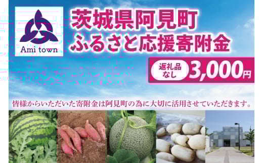 【返礼品なし】阿見町ふるさと応援寄附金(3000円)(000-02)