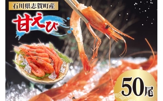 【能登半島 漁協直送！】活〆 甘エビ 50尾 [JF西海 石川県 志賀町 AM4232] エビ 味噌 アヒージョ 殻ごと