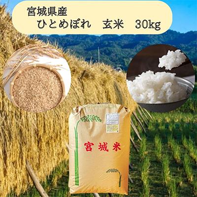 ふるさと納税 宮城県 【令和7年産】宮城県産ひとめぼれ玄米　30kg