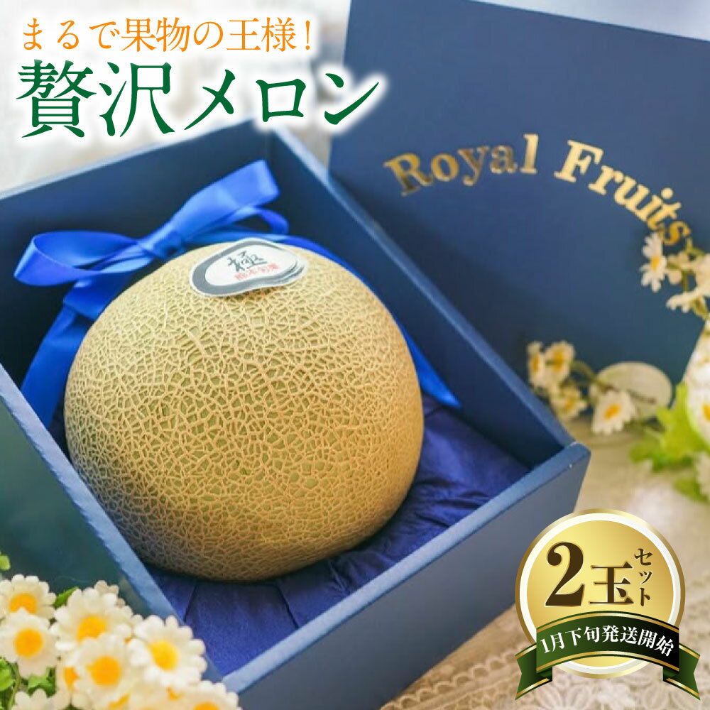 【ふるさと納税】まるで果物の王様！贅沢メロン 2玉セット 【2026年1月下旬発送開始】熊本県産 フルーツ メロン 贈答 ギフト 果物 熊本産 九州 熊本県 送料無料 【2026年1月下旬発送開始】
