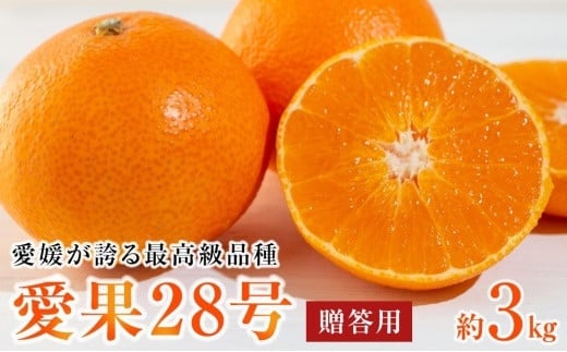 【先行予約】【2024年12月上旬から順次発送】愛媛が誇る最高級品種【愛果28号】贈答用 化粧箱 3kg(10-15個前後）あいか 贈答用 みかん 数量限定 みかん 愛媛県産 みかん 愛果28号 松山市 みかん 愛果28号 みかん 蜜柑 愛果28号 ミカン みかん 旬 愛果28号 愛媛県 松山市