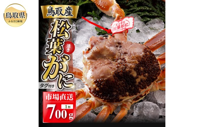 
                  【2026年11月発送】特撰　松葉がに（なま）【ブランドタグ付き】700g超の大きいサイズ　食べ応えあり　特大1杯【期間限定】_T2600606 
                
