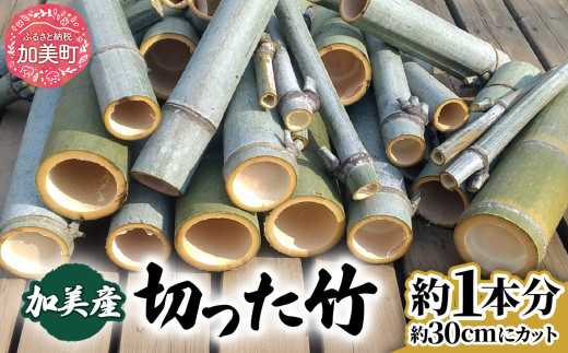 竹 「切った竹」 モウソウチク 北限の竹 自然素材 国産 切りたて 新鮮 香り高い 加工 工作 インテリア DIY 園芸 クラフト [ やってみっか奔舎 宮城県 加美町 ]