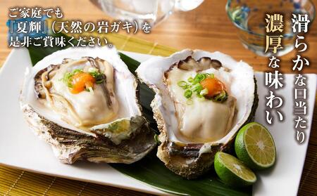 【 先行予約 2025年6月以降発送 】 天然 岩ガキ ( 夏輝 ) 7 枚