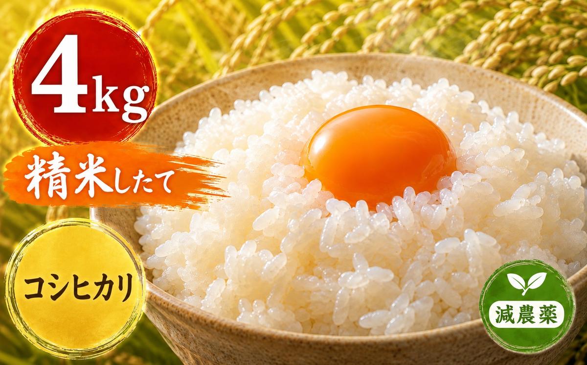 令和6年産 ヨシ腐葉土米 コシヒカリ 精米4kg（4kg×1袋）