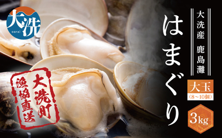 大洗産鹿島灘天然 はまぐり 3㎏  蛤 _BQ011