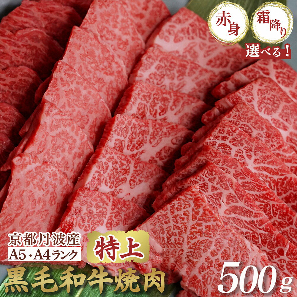 【ふるさと納税】【高評価】京都産黒毛和牛 焼肉『A5 特上霜降り』『 A4A5 特上赤身』500g ハーフ(250g×2) 食べ比べ 選べる 冷凍 京の肉ひら山≪焼肉 丹波産 和牛 黒毛和牛 牛肉 亀岡牛 ふるさと納税牛肉 訳あり 生活応援 厳選≫