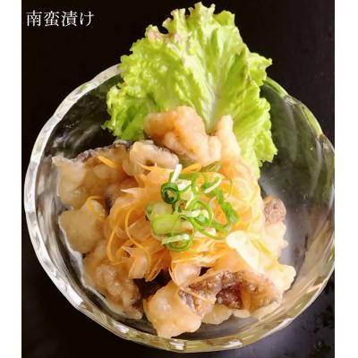 ふるさと納税 土佐清水市 からあげ用ウツボ2種類セット   カット干物(100g)&切り身生(200g×2P)【R00363】 |  | 03