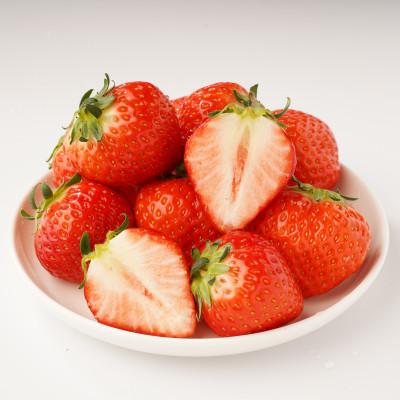 ふるさと納税 三豊市 【発送月固定定期便】三豊市を家族で味わう定番フルーツ全12回 |  | 01