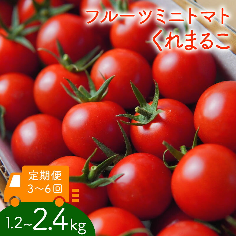 【ふるさと納税】 フルーツミニトマト くれまるこ 1.2～2.4kg 定期便 3回 6回 フルーツトマト ふるーつとまと とまと トマト 甘い 濃厚 美味しい 箱詰め 高知 フルーツ ミニトマト 野菜 高糖度 食卓 産直野菜 ふるさと納税トマト ふるさと納税とまと 中土佐町 久礼 宇井農園