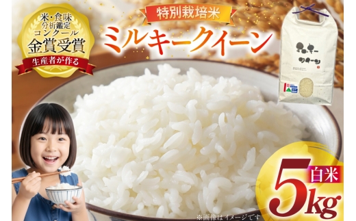 令和7年産 特別栽培米 ミルキークイーン 精米 5kg [農家の蔵出し米生産組合 山形県 高畠町 tk06ays900031] 米 コメ ご飯 ごはん お米 ブランド米