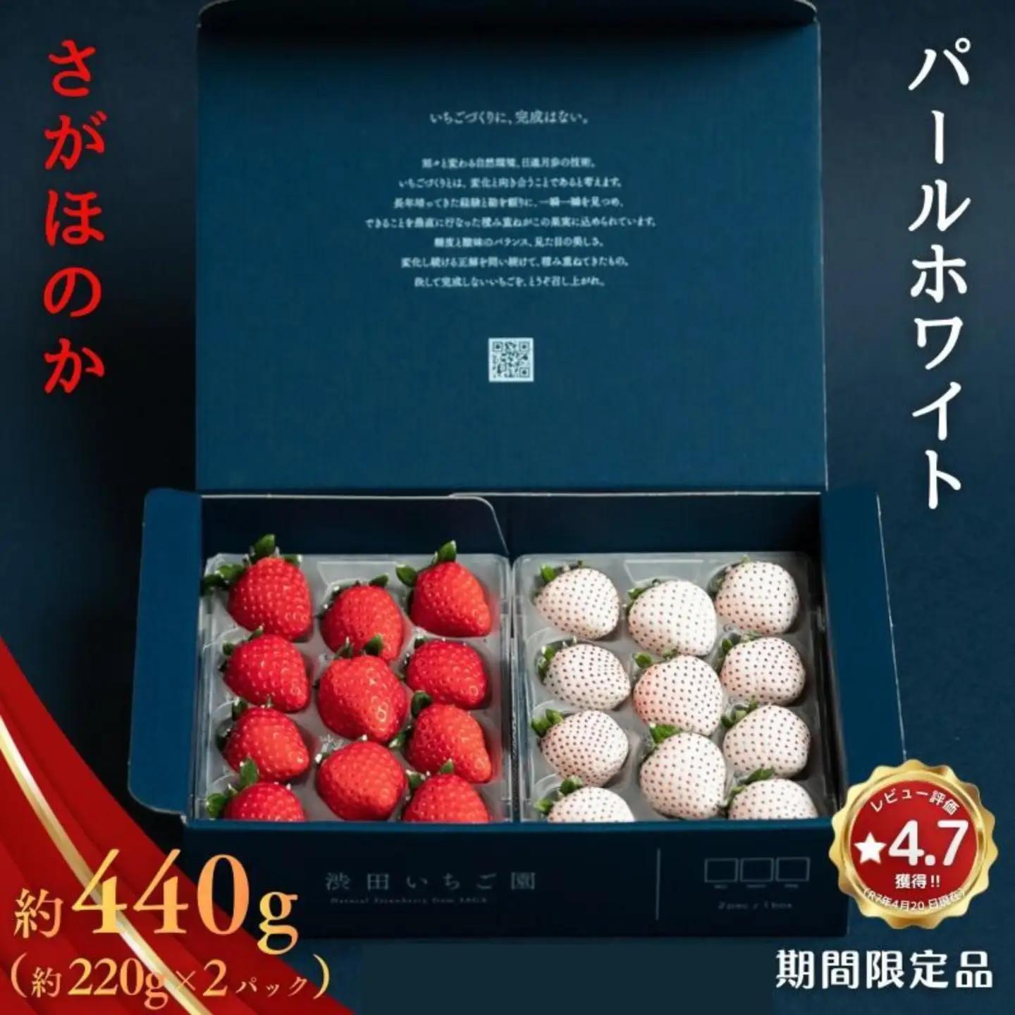 いちご 佐賀県産いちご さがほのか＆パールホワイト 紅白セット【1～4月発送】：B140-008