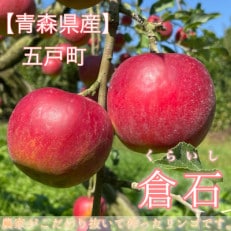 【青森県産】紅玉 約5kg