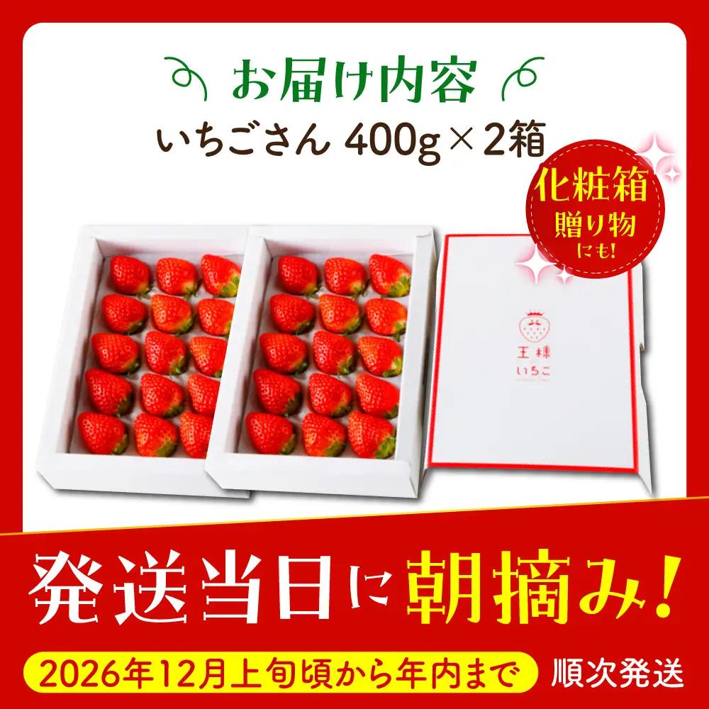 【先行予約】【12月発送】王様のいちごいちごさん400g×2箱むらおか農園 HAF001 果物 フルーツ