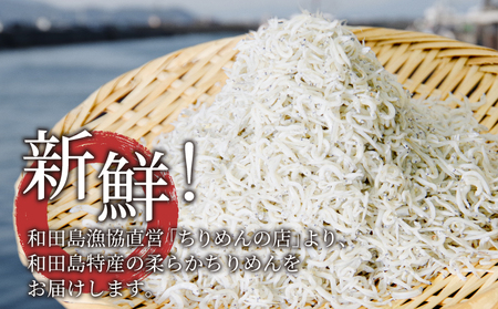 しらす 釜揚げ 1kg（250g×4パック）冷凍 小分け 漁協直送 しらす丼 丼ぶり 魚 ご飯 お取り寄せ グルメ 人気 おすすめ やわらか ちりめん ※北海道、沖縄、離島配送不可 ( 大人気しらす 