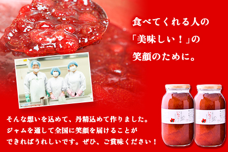 果実ぎっしり！木之内農園の手作りいちごジャム　2kg（1kg×2本）《60日以内に出荷予定(土日祝除く)》 熊本県南阿蘇村 イチゴ 苺 減農薬 大粒